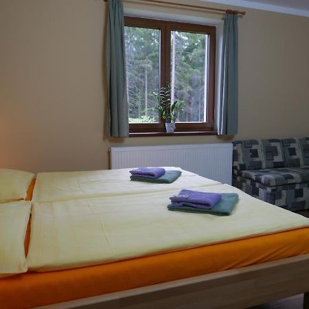 Pension Aspen Harrachov Bagian luar foto