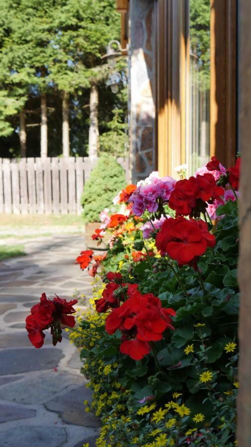 Pension Aspen Harrachov Bagian luar foto