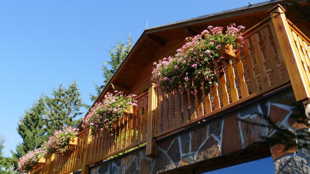 Pension Aspen Harrachov Bagian luar foto