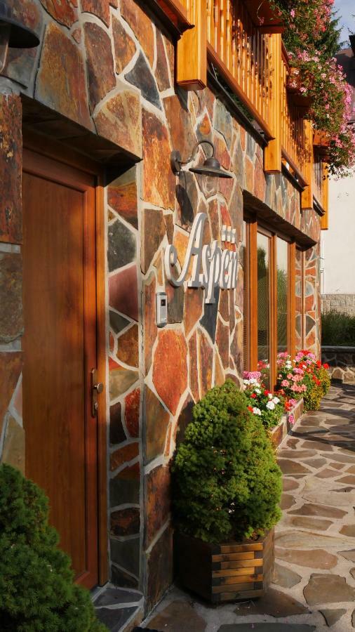 Pension Aspen Harrachov Bagian luar foto